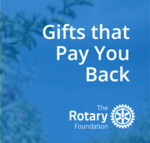 The_Rotary_Foundation_Endowment_2_